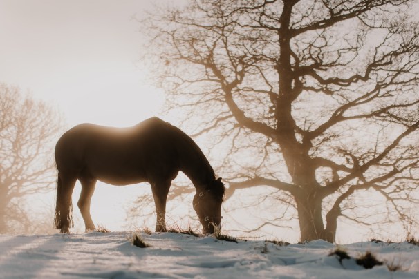 Can we say we say winter is over&nbsp;yet?